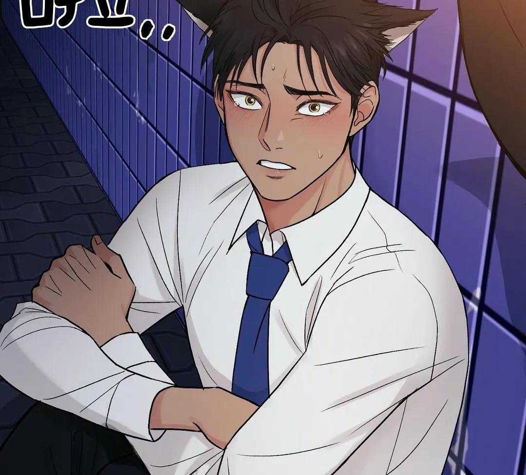 猫猫上司认定我（共2季） 第3话 第7页