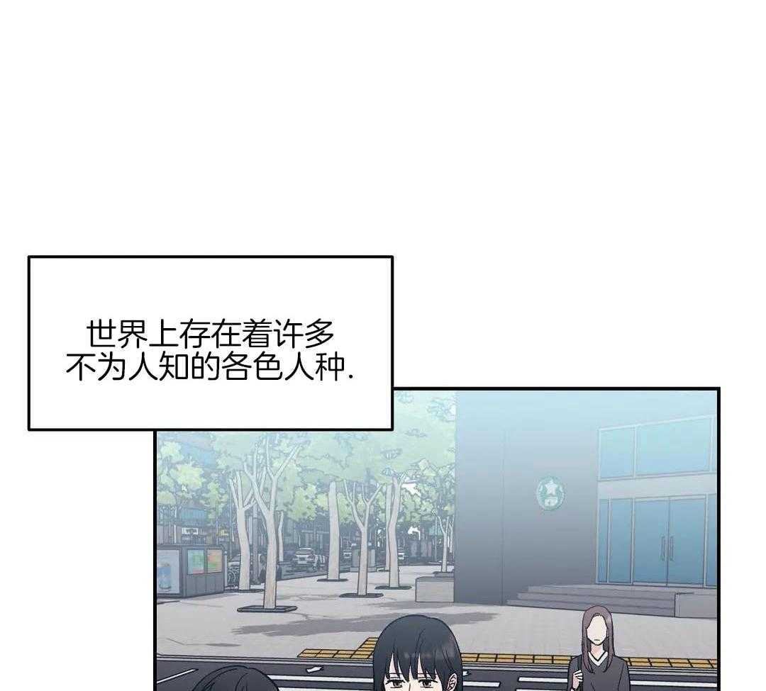 猫猫上司认定我（共2季） 第3话 第11页