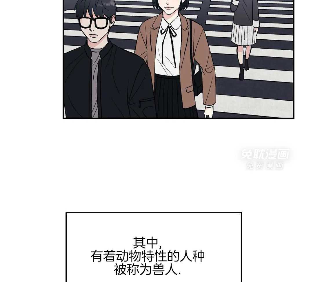 猫猫上司认定我（共2季） 第3话 第12页