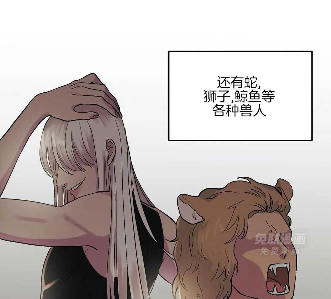 猫猫上司认定我（共2季） 第3话 第15页