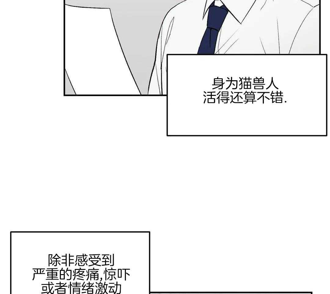 猫猫上司认定我（共2季） 第3话 第25页