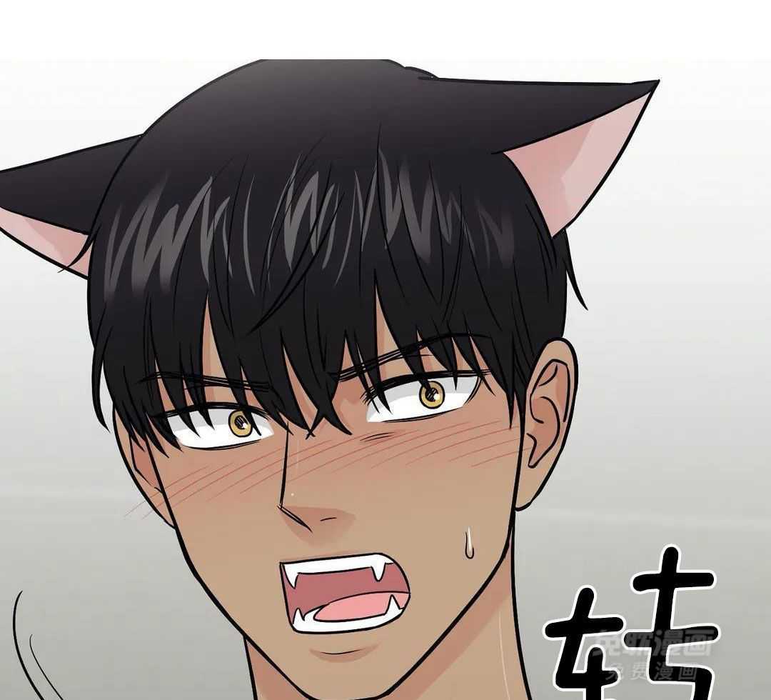 猫猫上司认定我（共2季） 第30话 第10页