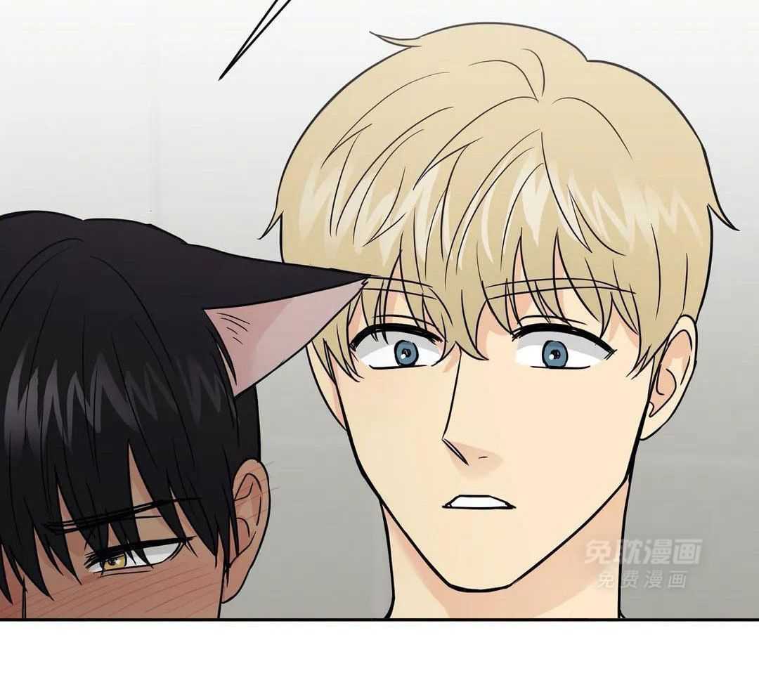 猫猫上司认定我（共2季） 第30话 第29页