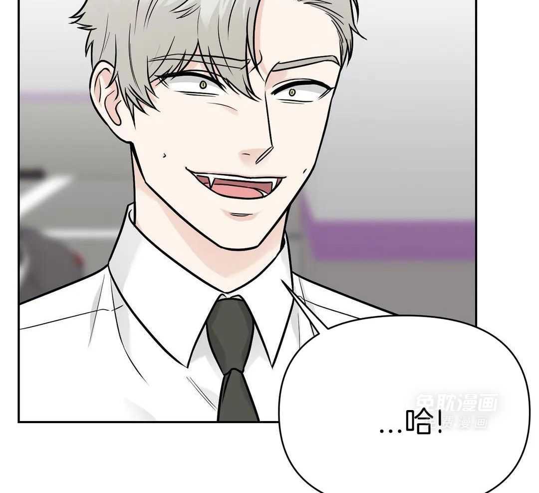 猫猫上司认定我（共2季） 第33话 第1页