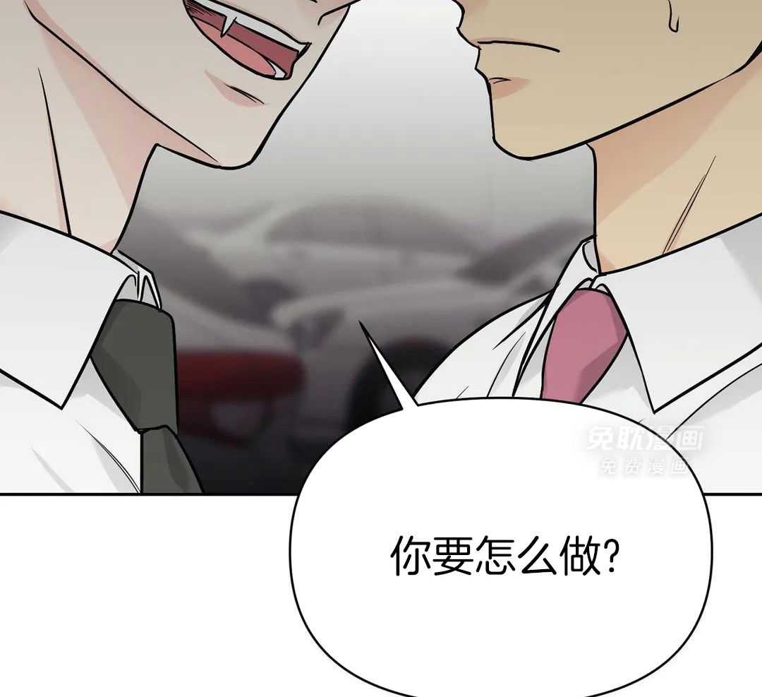 猫猫上司认定我（共2季） 第33话 第5页