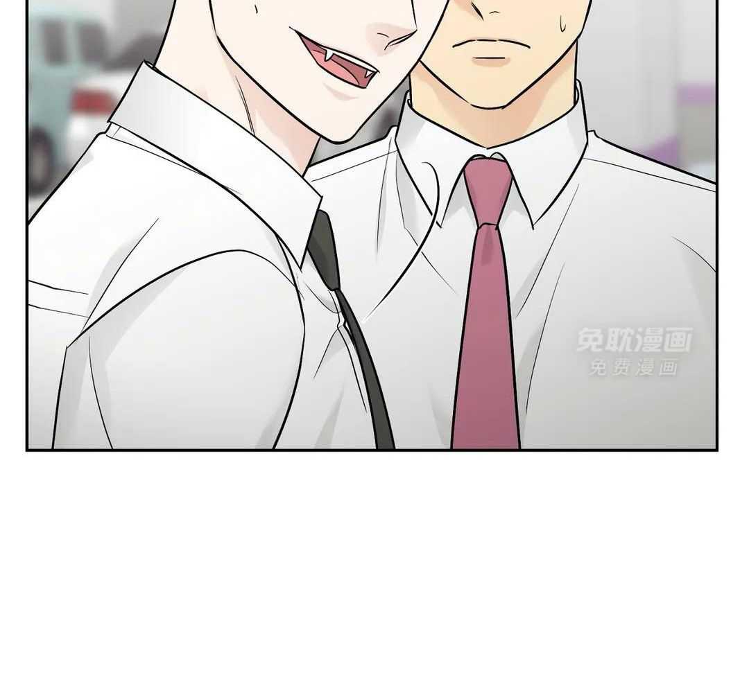 猫猫上司认定我（共2季） 第33话 第11页