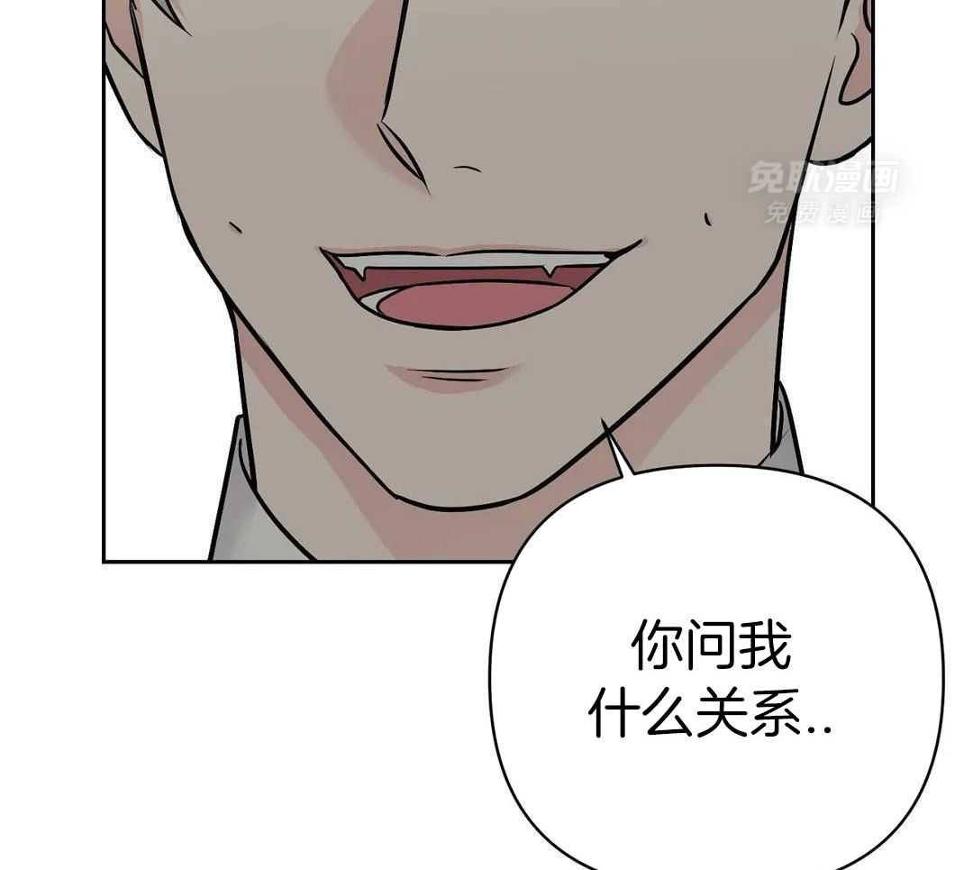 猫猫上司认定我（共2季） 第34话 第36页