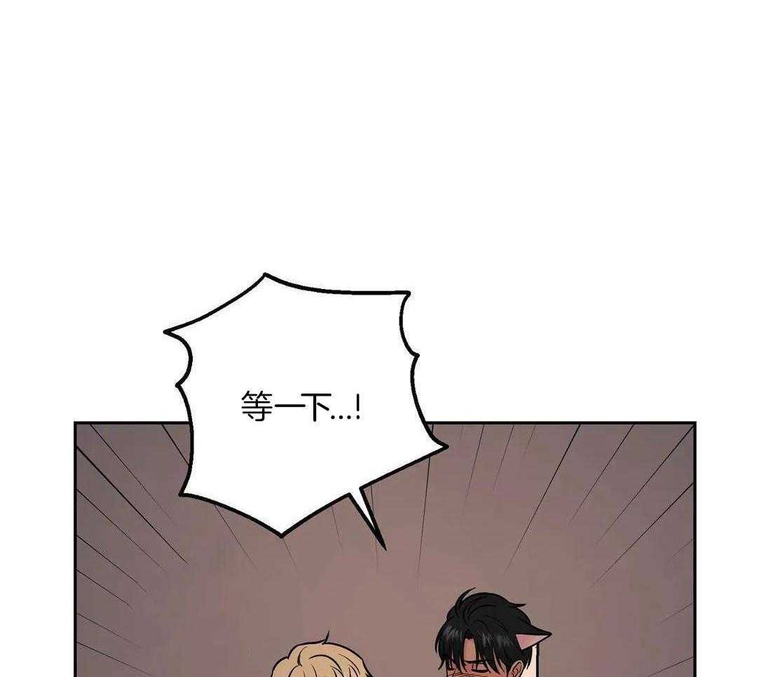 猫猫上司认定我（共2季） 第35话 第5页