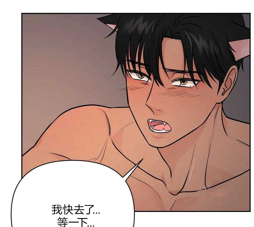 猫猫上司认定我（共2季） 第35话 第7页