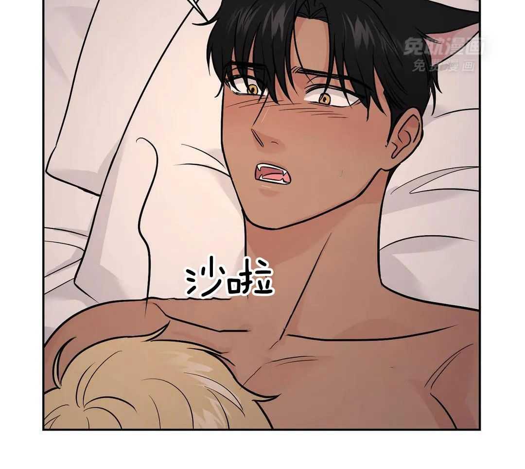 猫猫上司认定我（共2季） 第35话 第13页