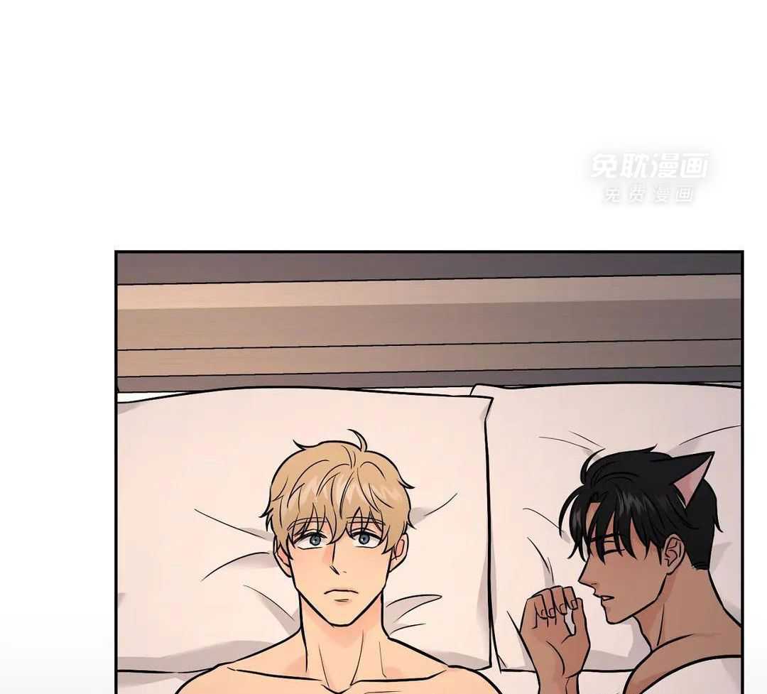 猫猫上司认定我（共2季） 第35话 第25页