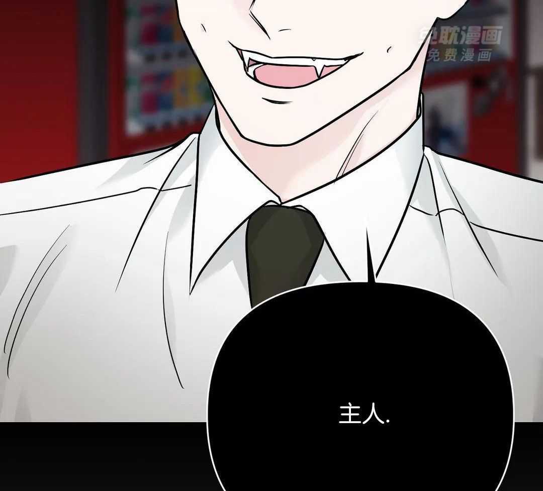 猫猫上司认定我（共2季） 第35话 第33页