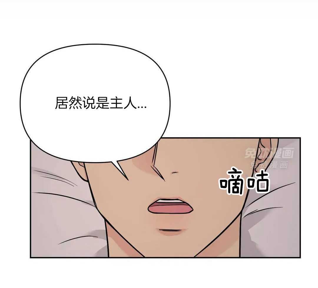 猫猫上司认定我（共2季） 第35话 第35页