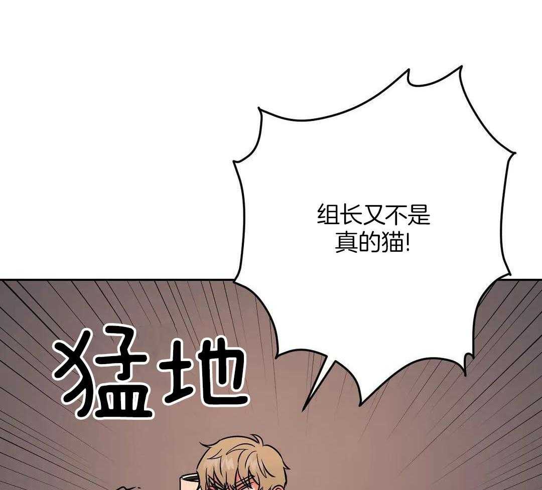 猫猫上司认定我（共2季） 第35话 第36页