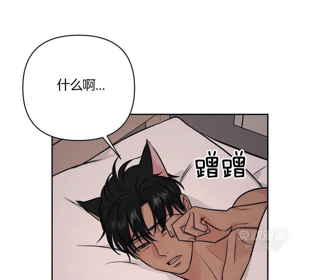 猫猫上司认定我（共2季） 第35话 第38页