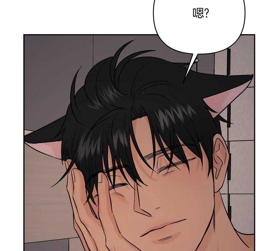 猫猫上司认定我（共2季） 第35话 第42页