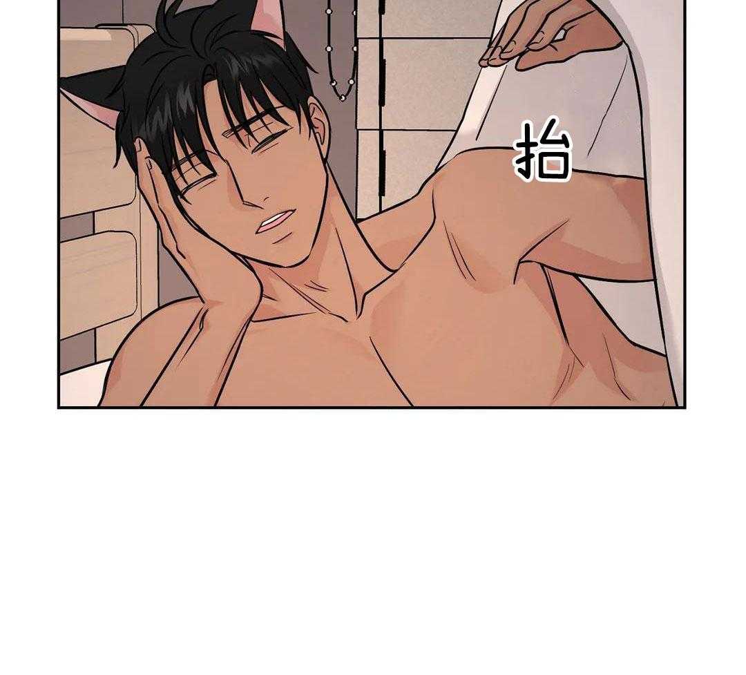 猫猫上司认定我（共2季） 第35话 第48页
