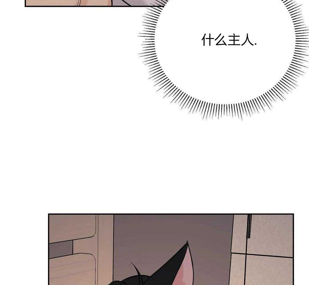 猫猫上司认定我（共2季） 第36话 第2页