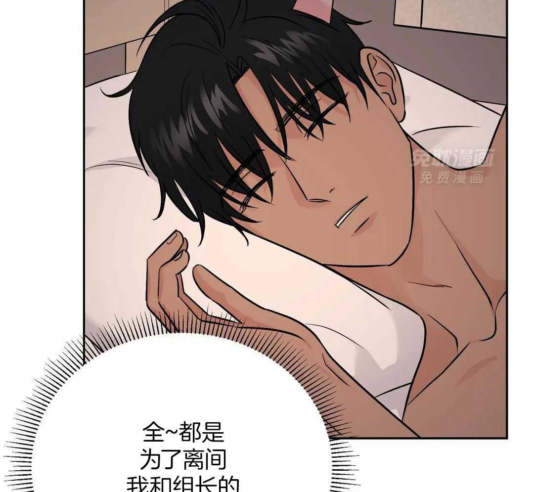 猫猫上司认定我（共2季） 第36话 第3页