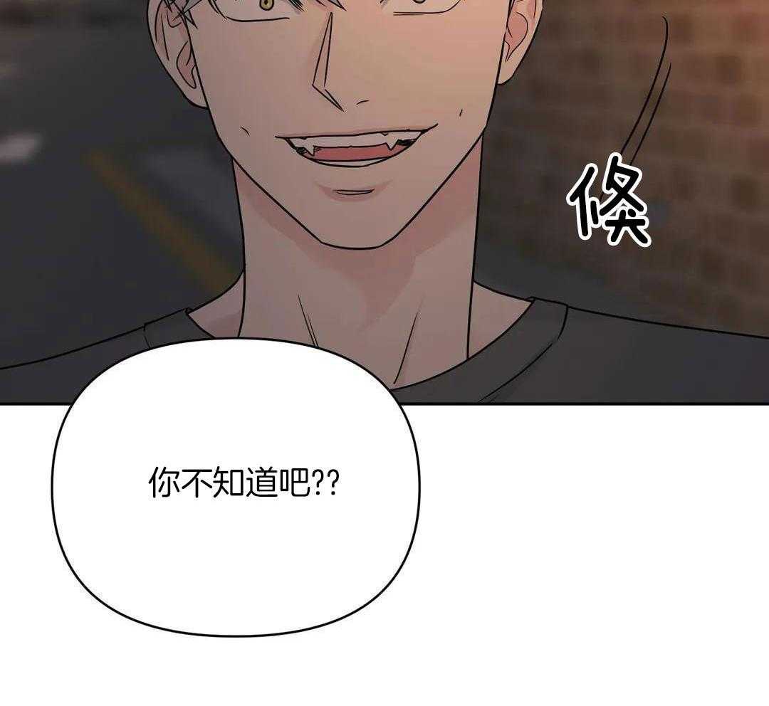 猫猫上司认定我（共2季） 第37话 第25页