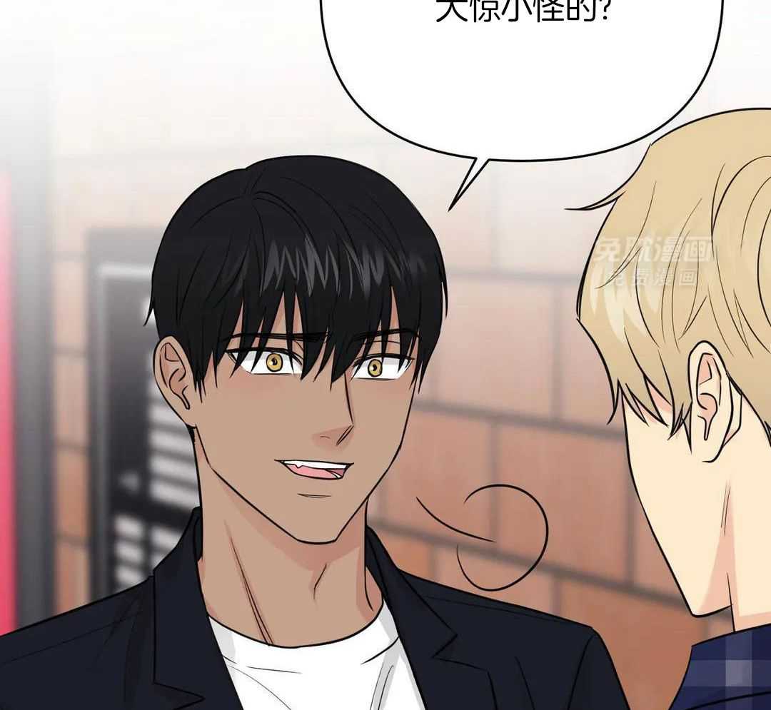 猫猫上司认定我（共2季） 第38话 第1页