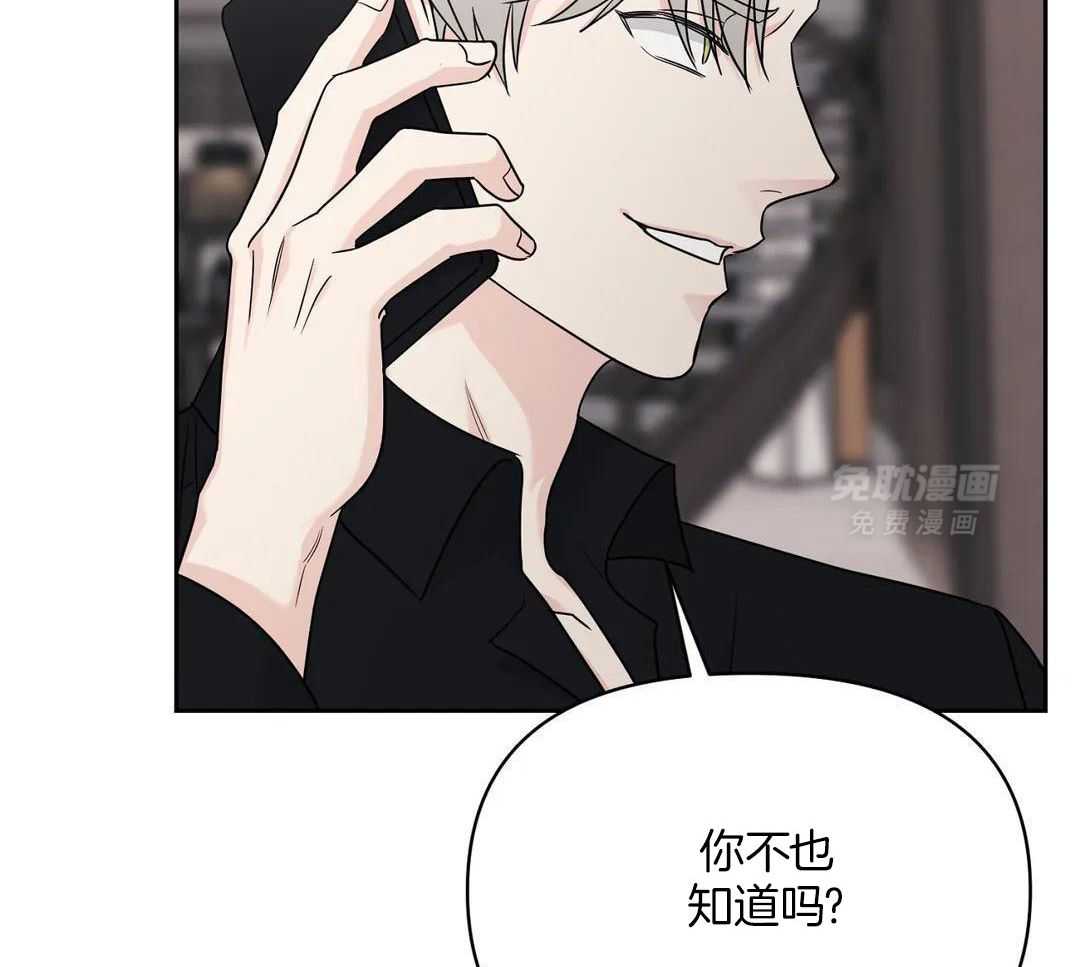 猫猫上司认定我（共2季） 第39话 第5页