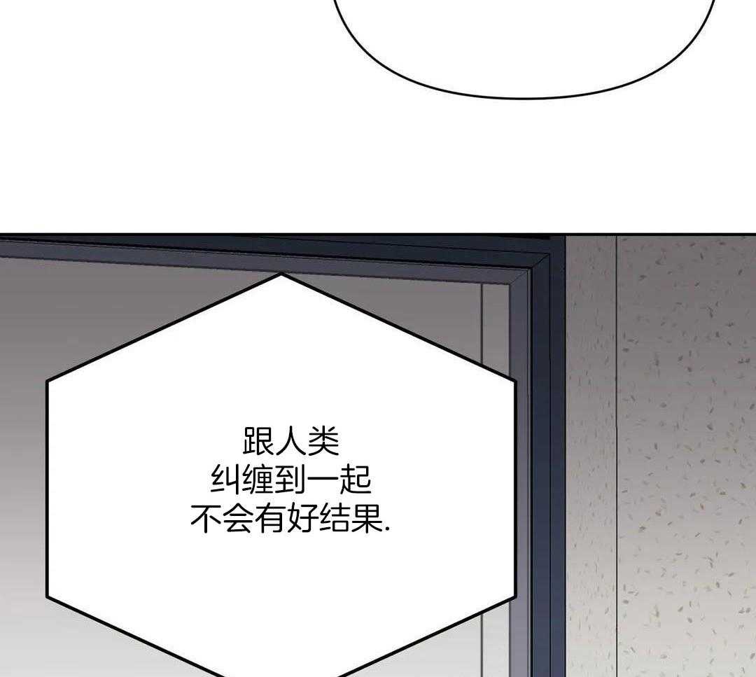 猫猫上司认定我（共2季） 第39话 第6页