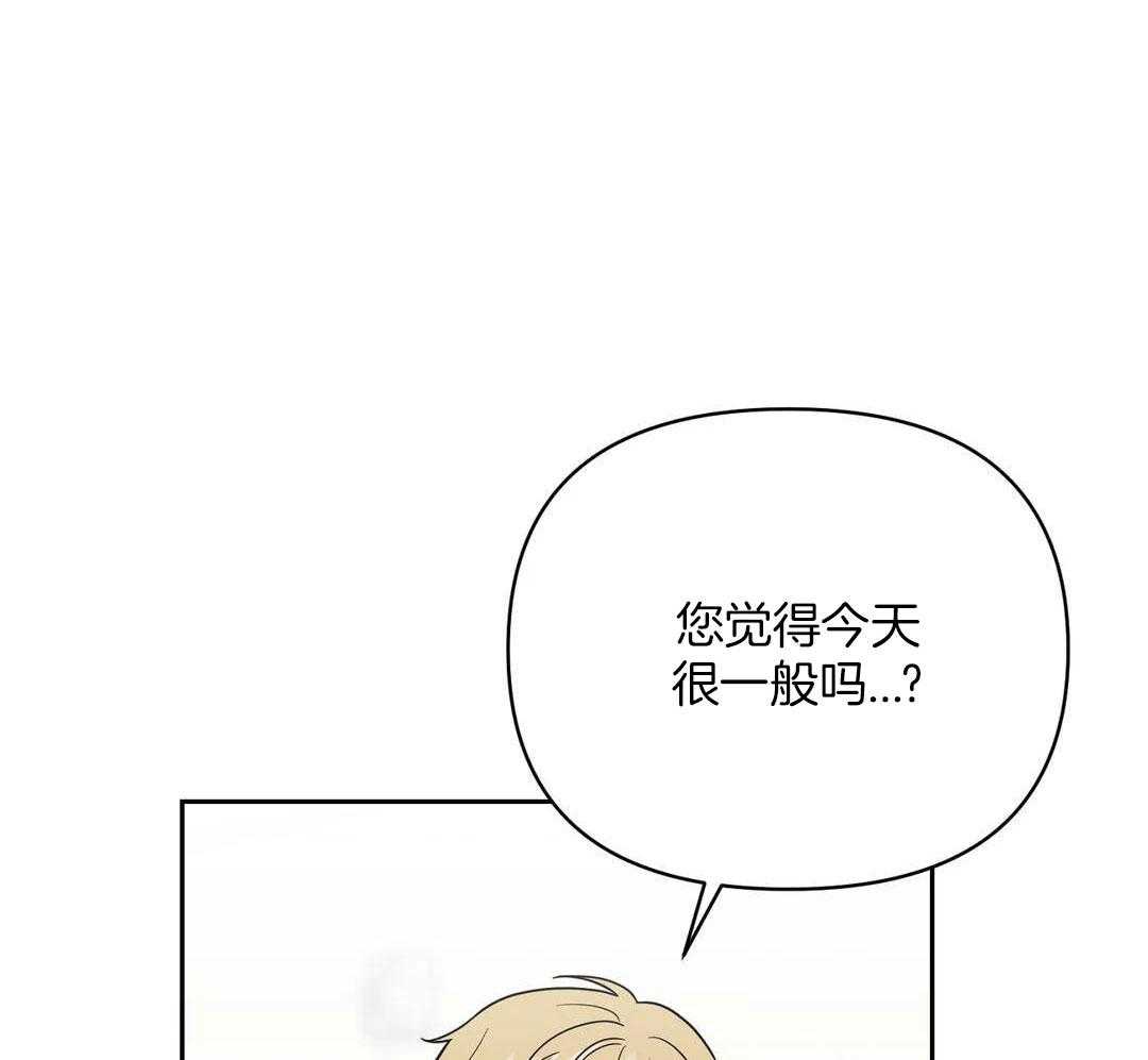 猫猫上司认定我（共2季） 第39话 第28页