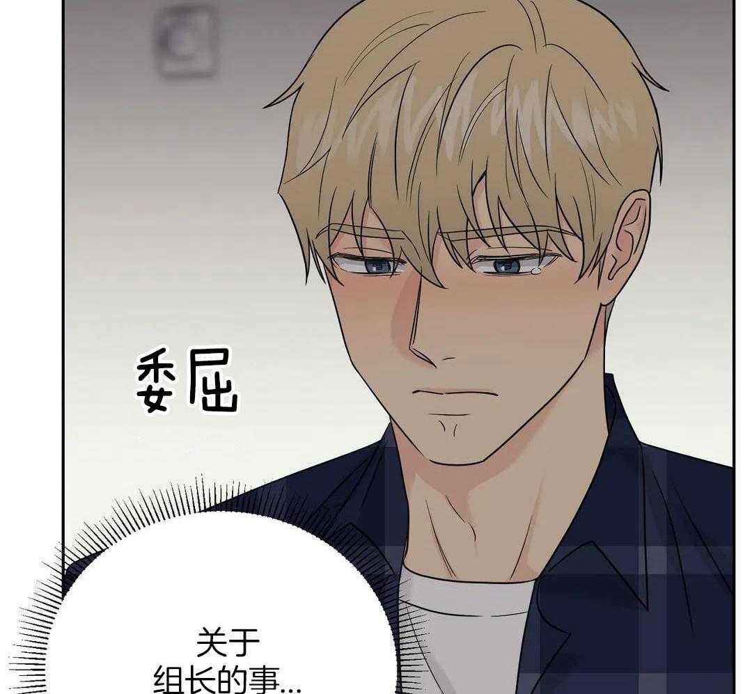 猫猫上司认定我（共2季） 第39话 第35页