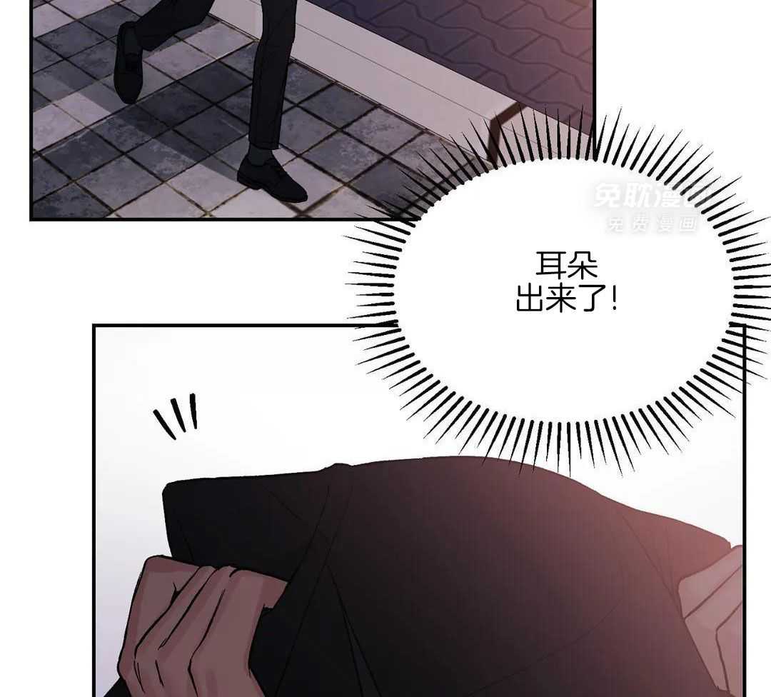 猫猫上司认定我（共2季） 第4话 第3页