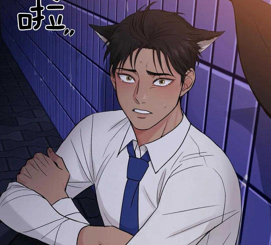 猫猫上司认定我（共2季） 第4话 第16页