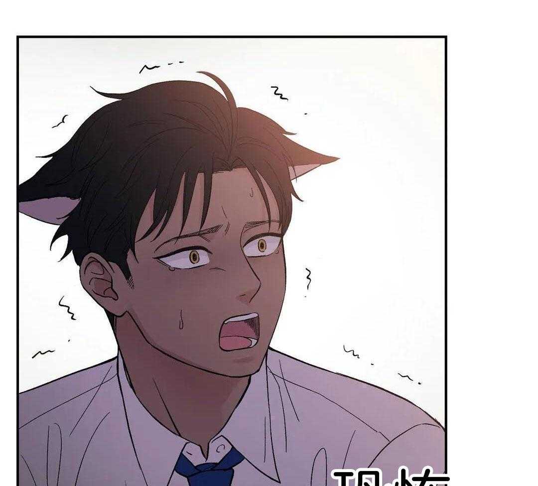 猫猫上司认定我（共2季） 第4话 第19页