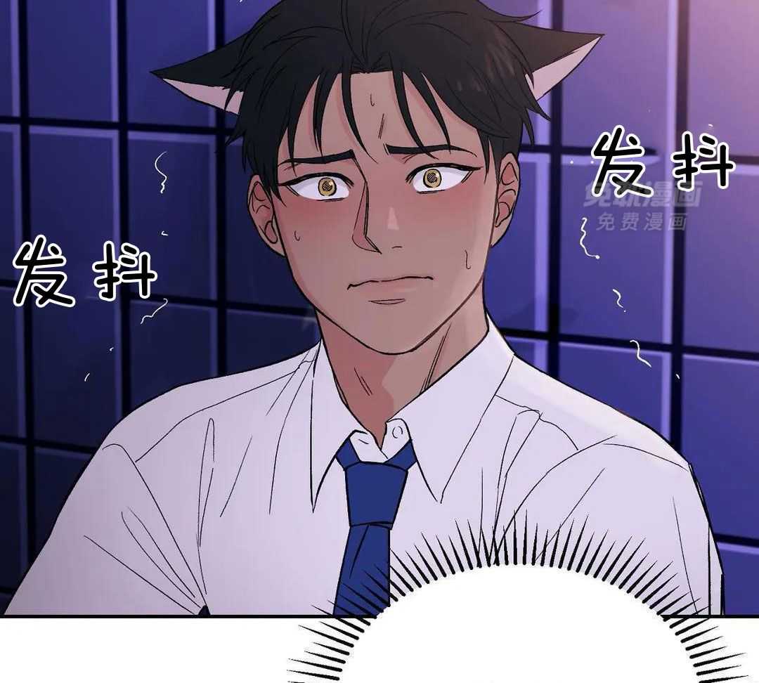 猫猫上司认定我（共2季） 第4话 第24页