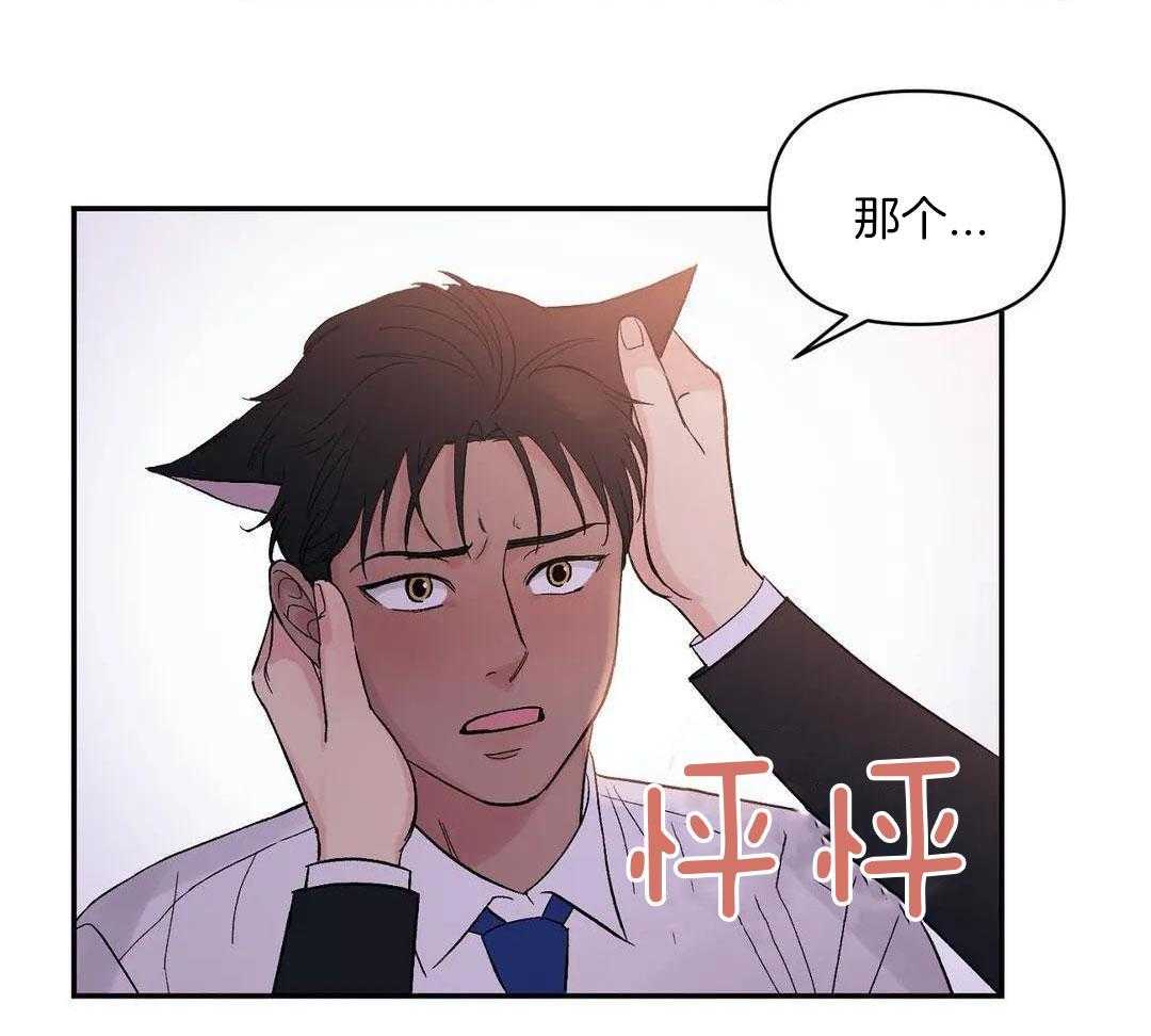 猫猫上司认定我（共2季） 第4话 第34页