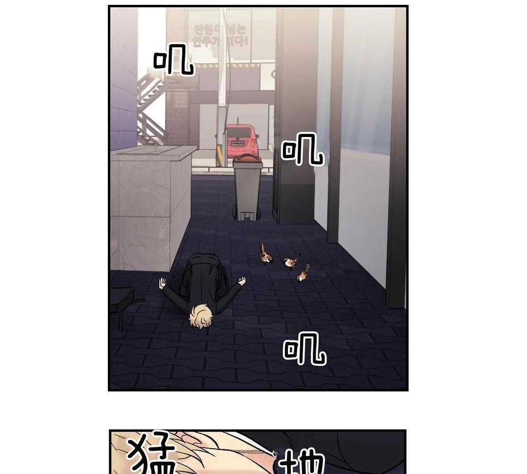 猫猫上司认定我（共2季） 第4话 第41页