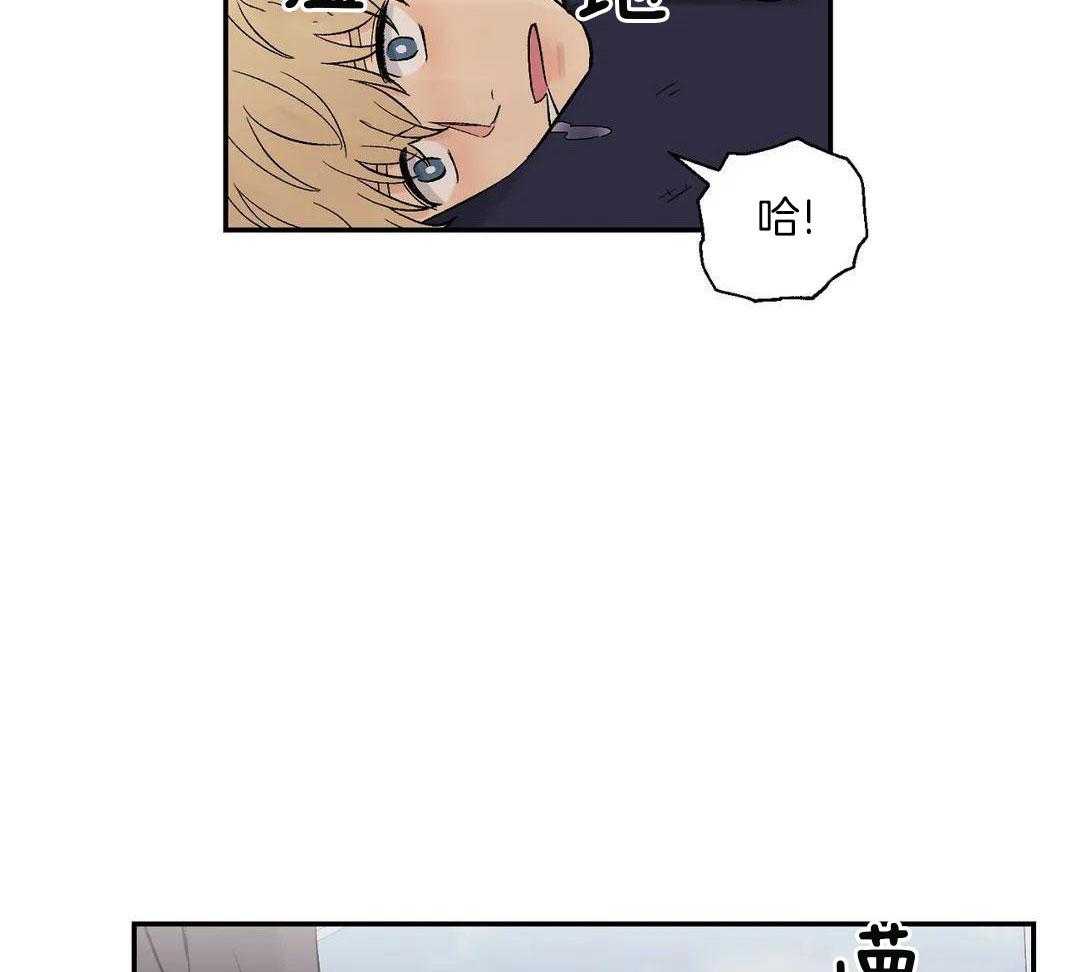 猫猫上司认定我（共2季） 第4话 第42页