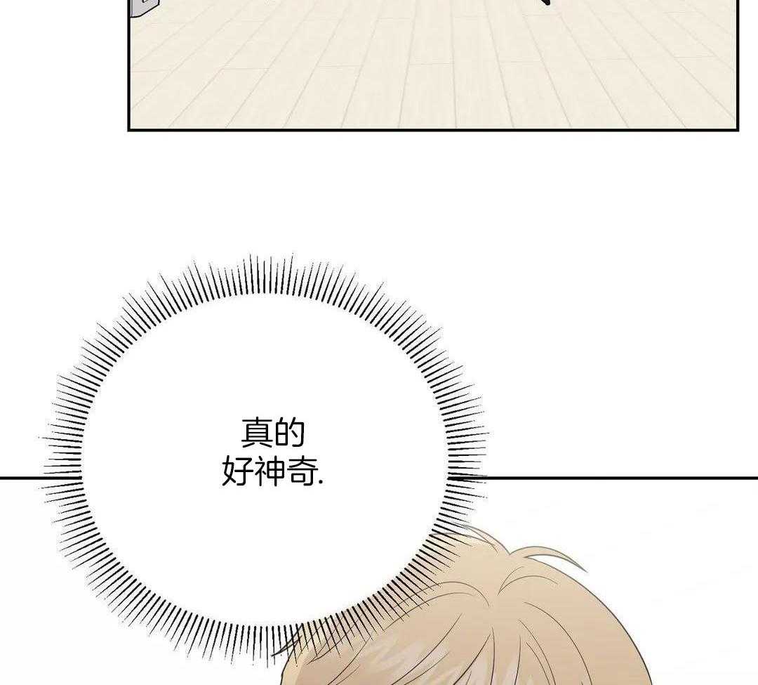 猫猫上司认定我（共2季） 第40话 第3页