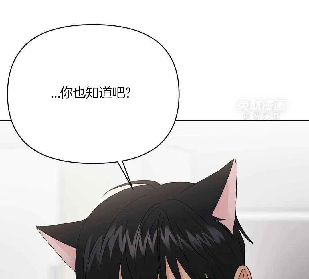 猫猫上司认定我（共2季） 第40话 第16页