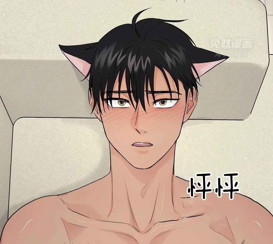 猫猫上司认定我（共2季） 第40话 第29页