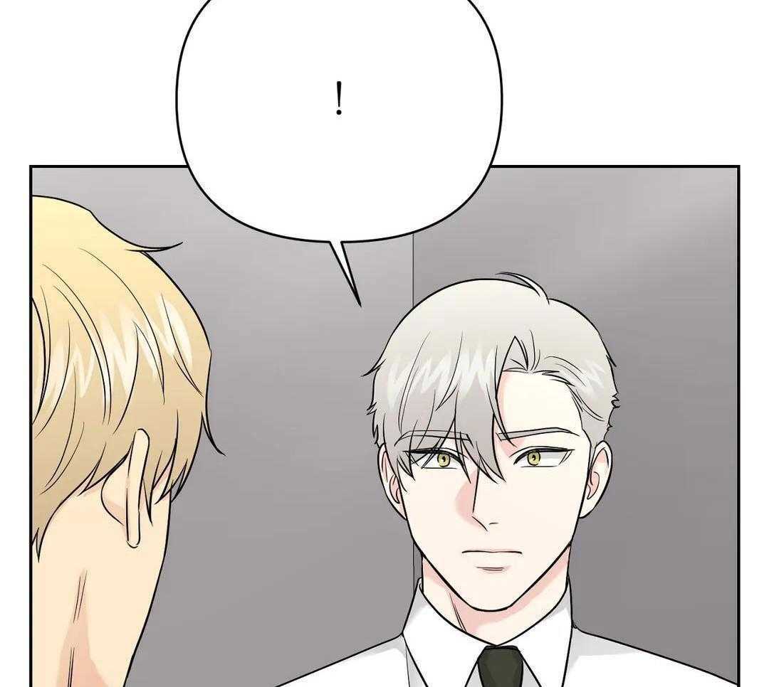 猫猫上司认定我（共2季） 第40话 第38页