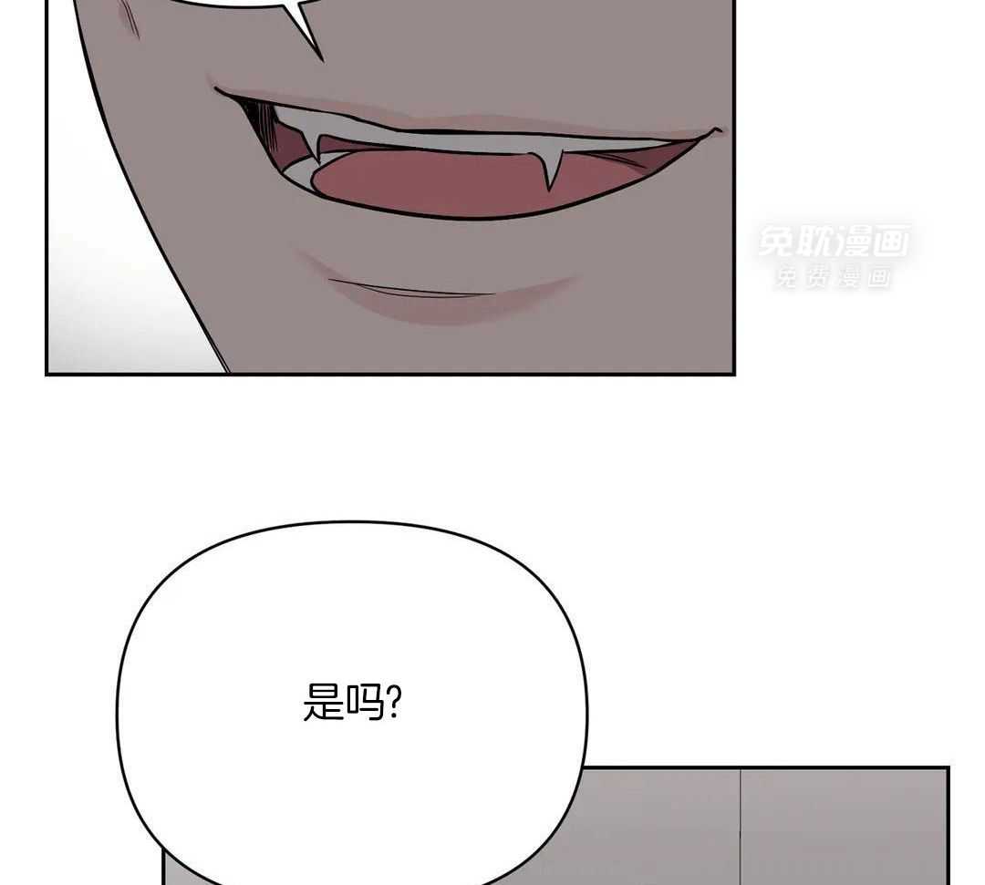 猫猫上司认定我（共2季） 第41话 第1页