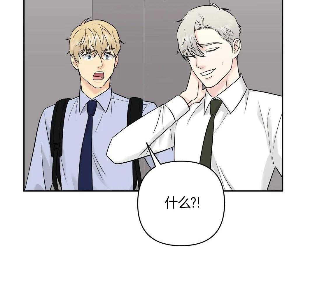 猫猫上司认定我（共2季） 第41话 第4页