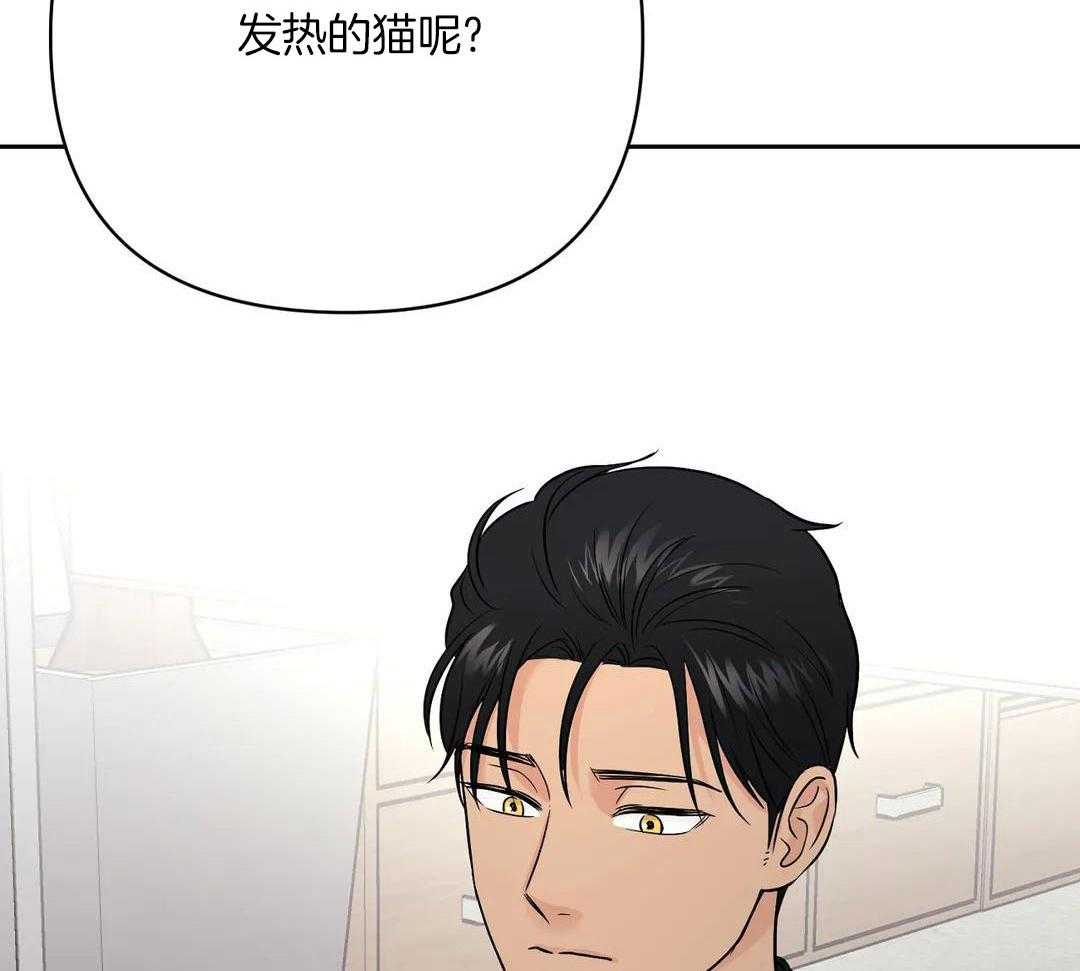 猫猫上司认定我（共2季） 第41话 第14页