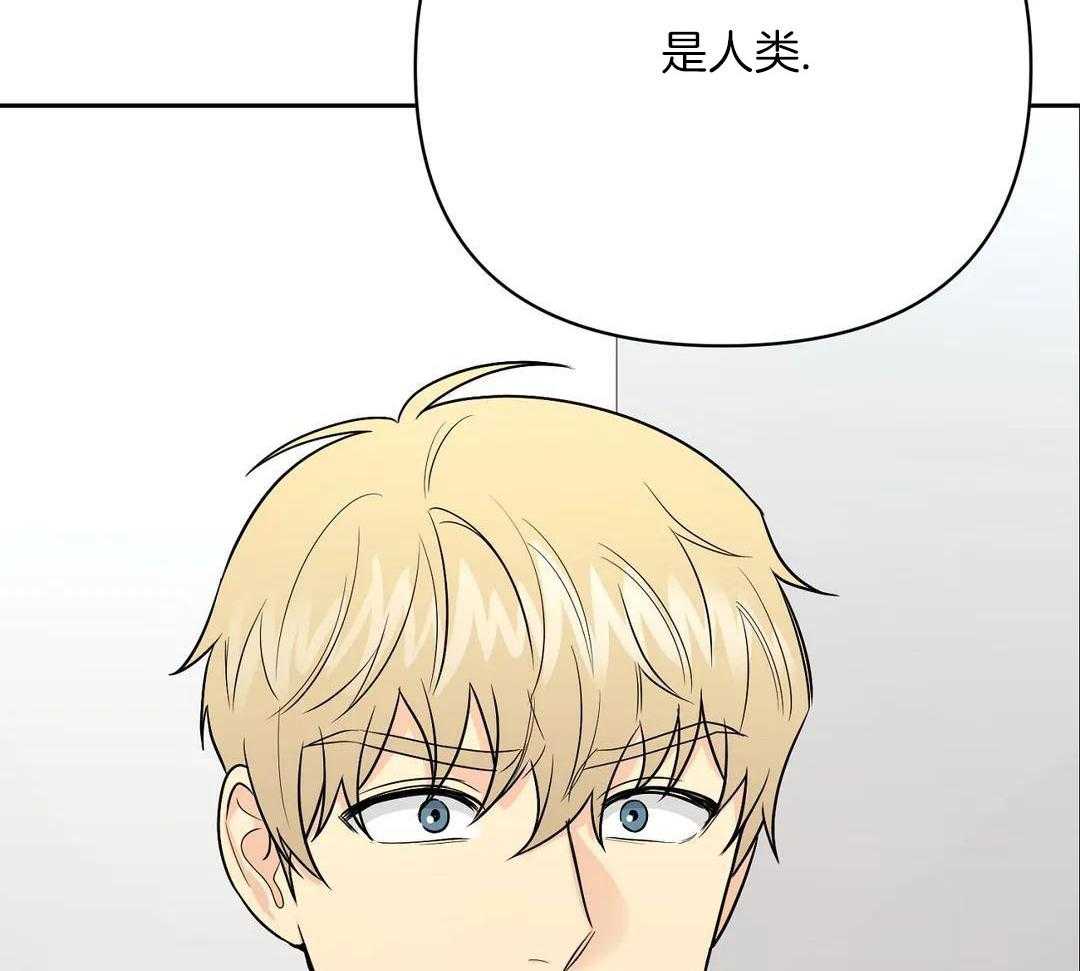 猫猫上司认定我（共2季） 第41话 第35页