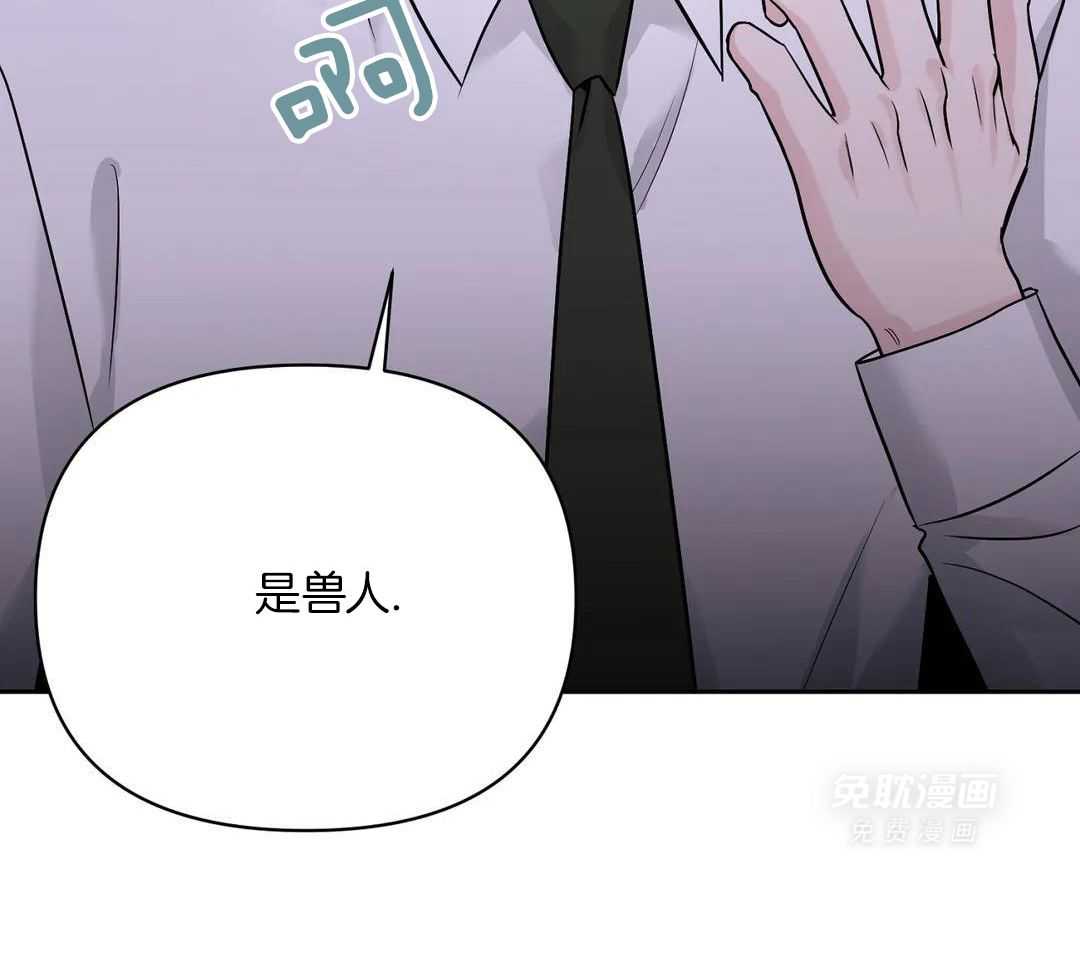 猫猫上司认定我（共2季） 第41话 第40页