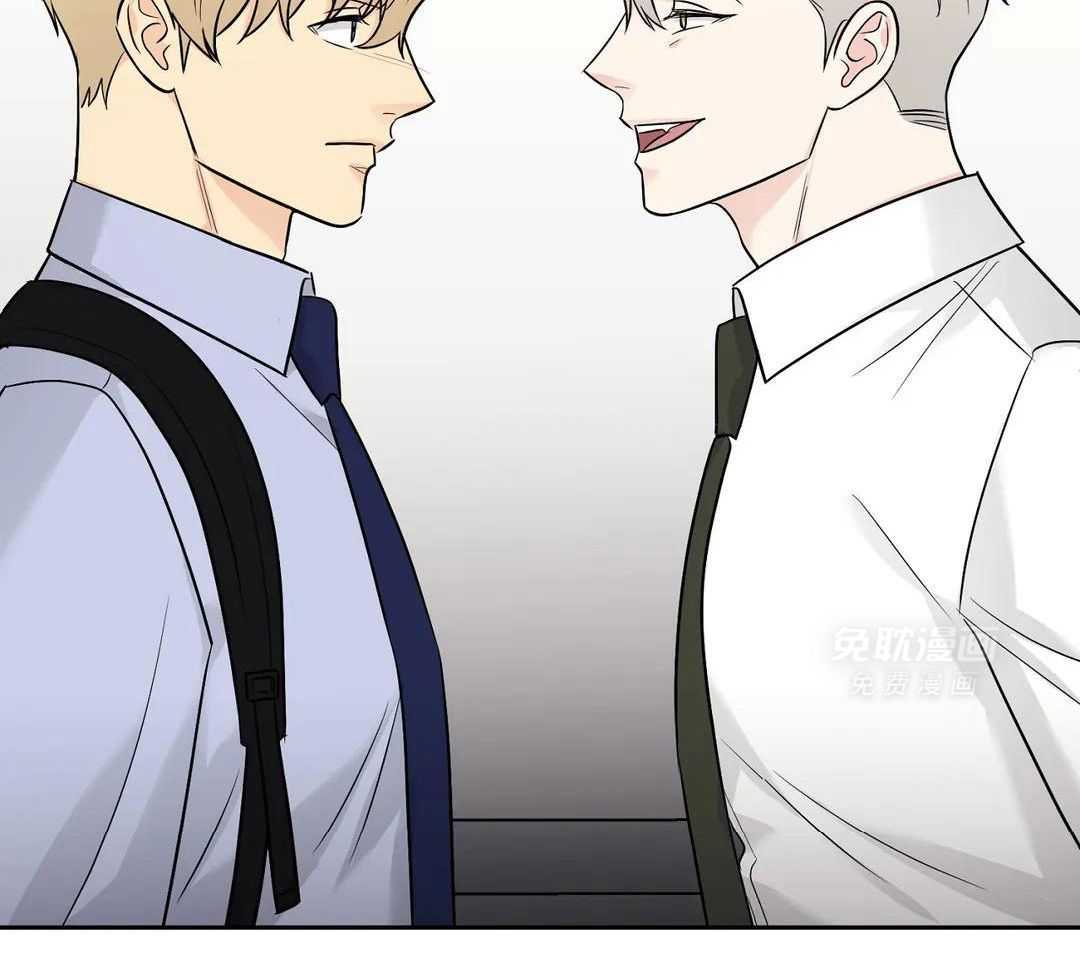 猫猫上司认定我（共2季） 第41话 第42页