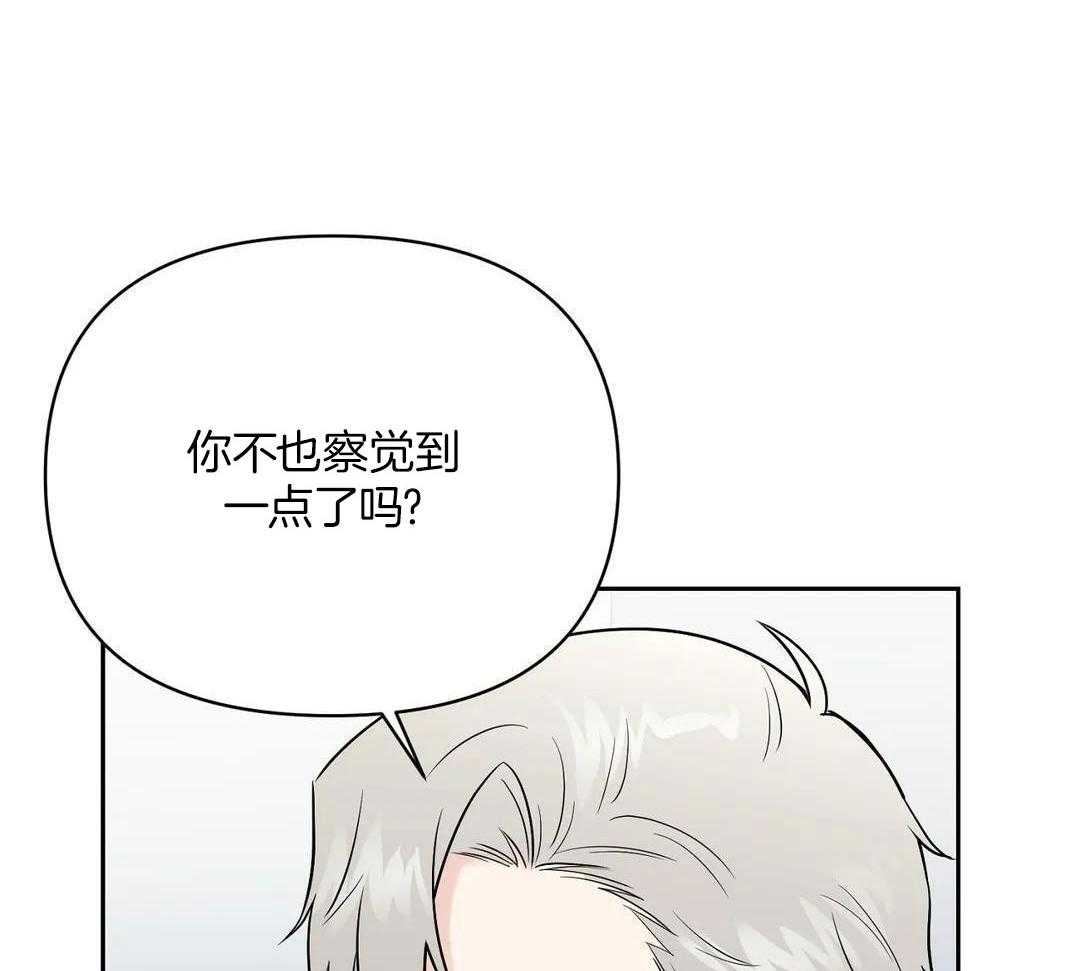 猫猫上司认定我（共2季） 第41话 第43页