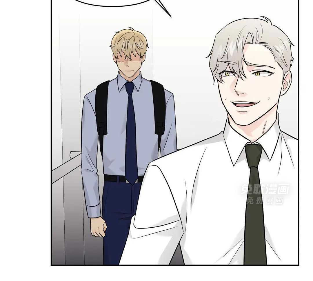 猫猫上司认定我（共2季） 第42话 第4页