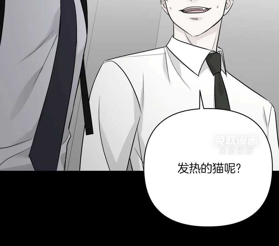 猫猫上司认定我（共2季） 第42话 第41页