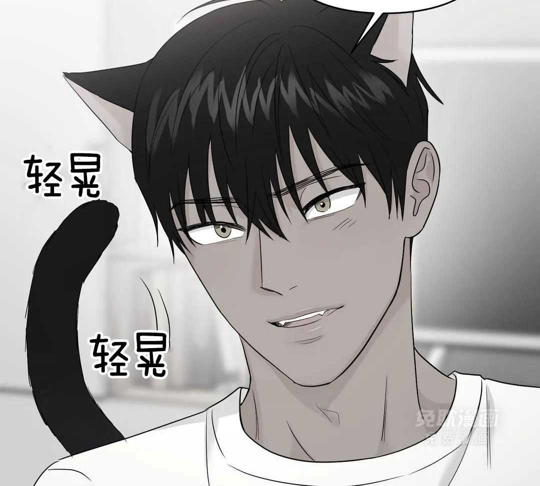 猫猫上司认定我（共2季） 第43话 第11页